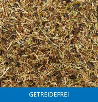 Kachelnavi getreidefrei startseite